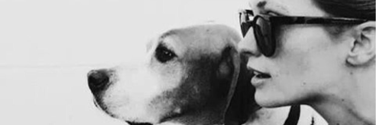 uniquedogs's profile banner image