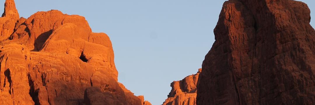 Malmous's profile banner image