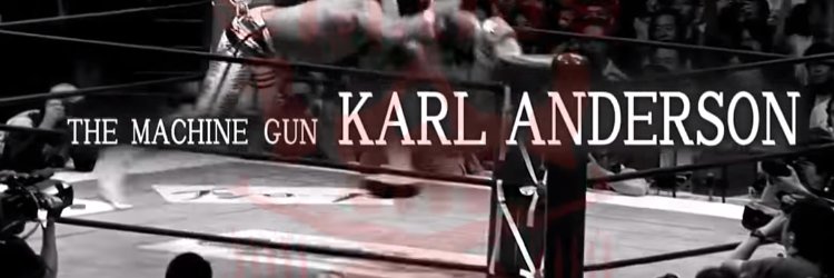 Not the Real Karl Anderson banner