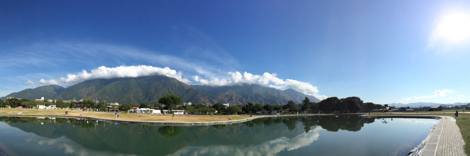 Daniel Alibardi banner