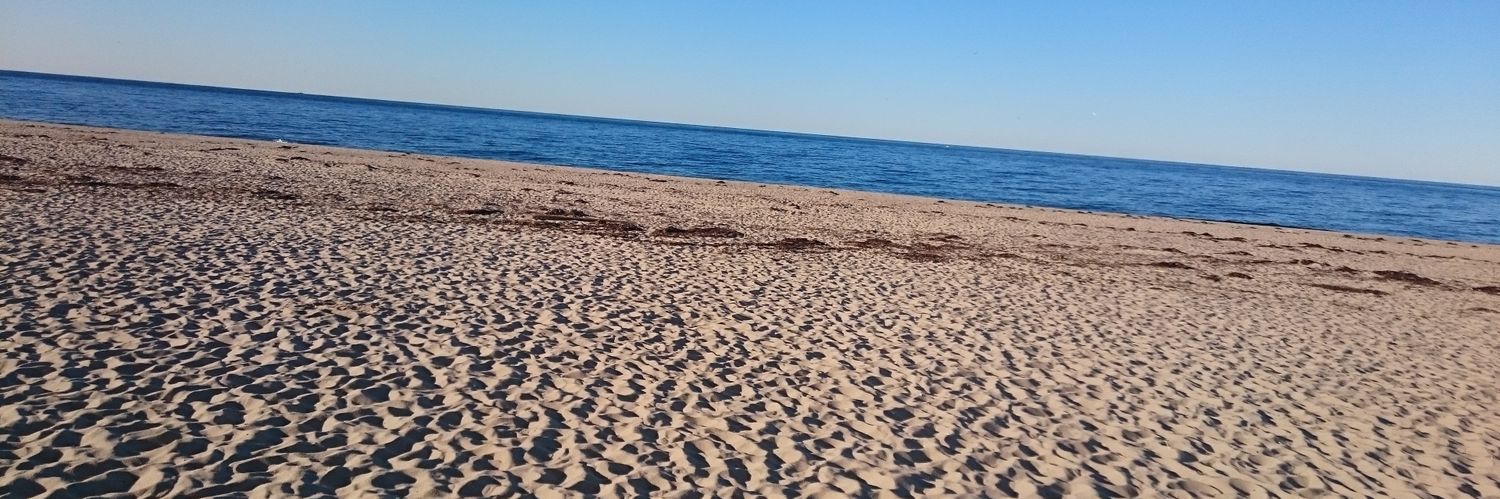 alison holland banner