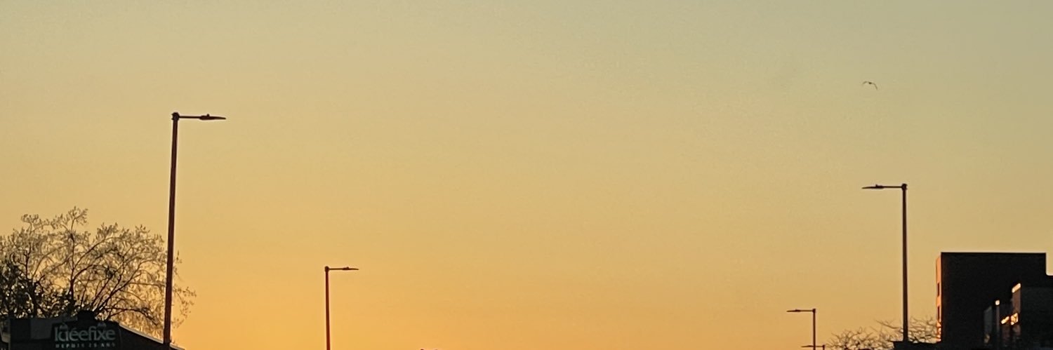 dirtymoonie's profile banner image