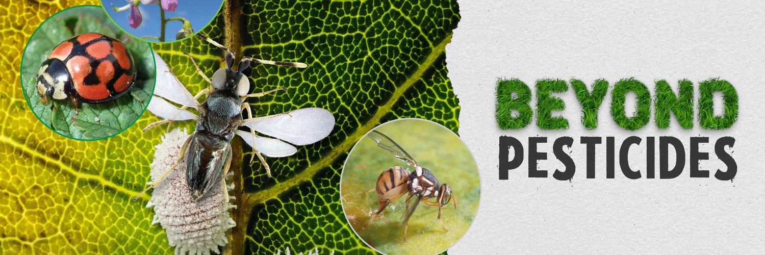 _ACBIO's profile banner image