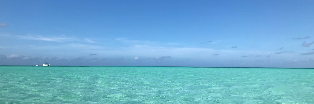 soniinkaa's profile banner image