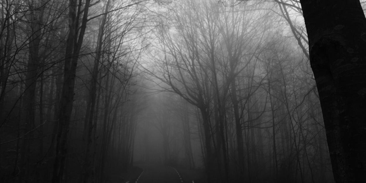 nik005566's profile banner image