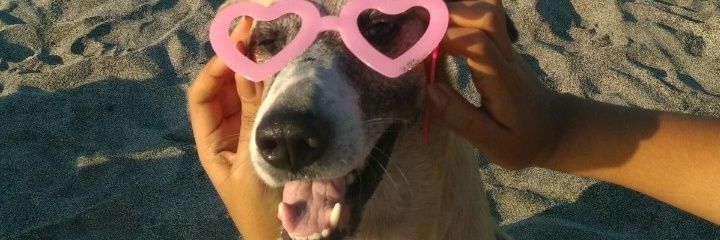 Bleydismpp's profile banner image