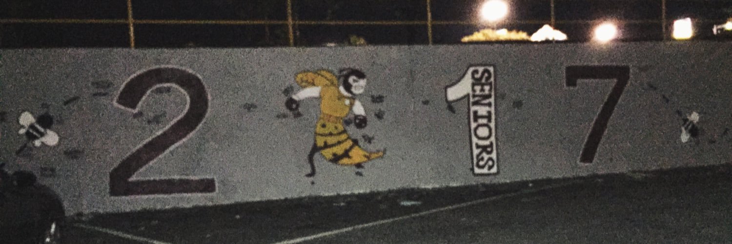 BHSclass17's profile banner image