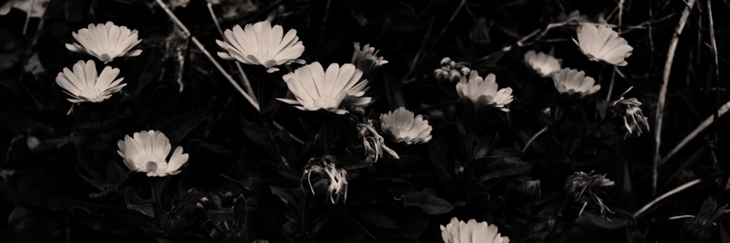 anniviris's profile banner image
