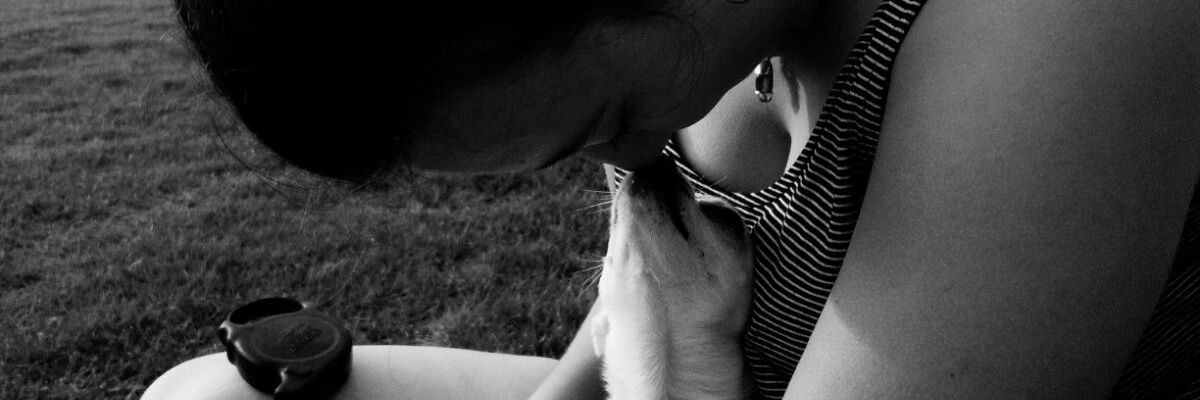 mariiatereesa22's profile banner image
