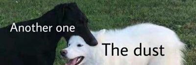 ⚡️ ViK ⚡ banner