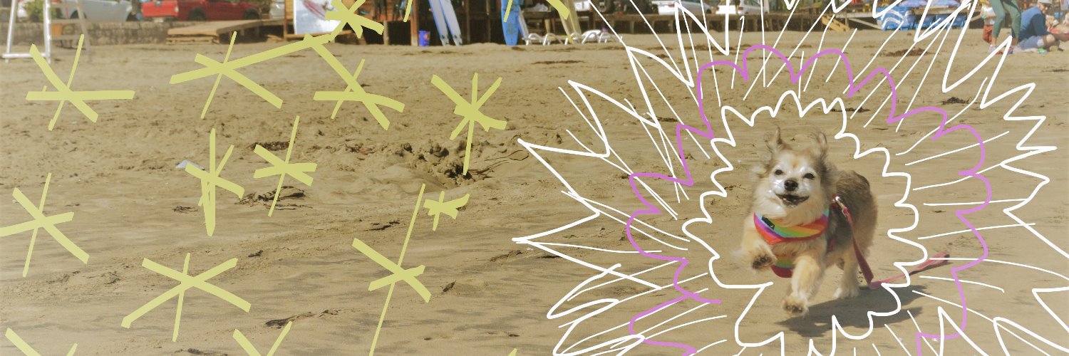 catpoter's profile banner image