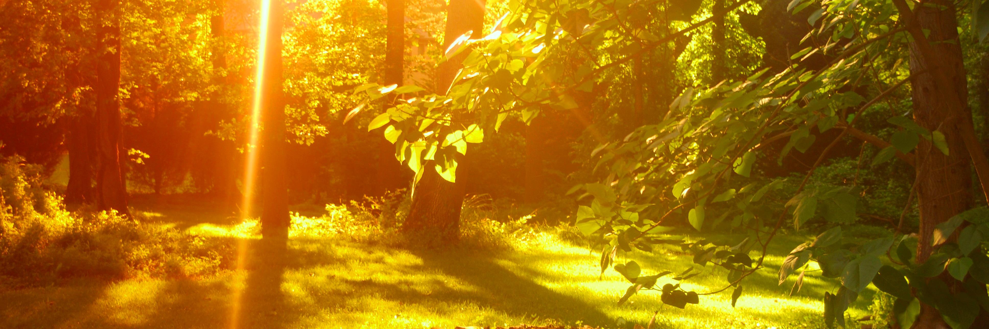 shanasspring's profile banner image