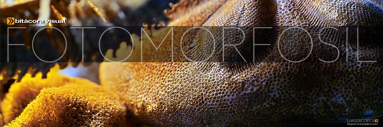 largoscortos's profile banner image