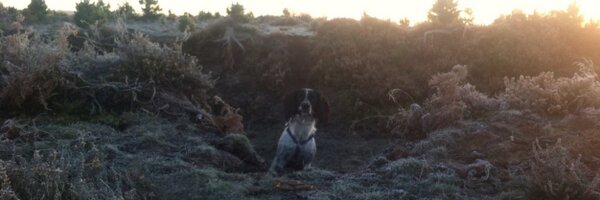 Sam_Blacker Profile Banner