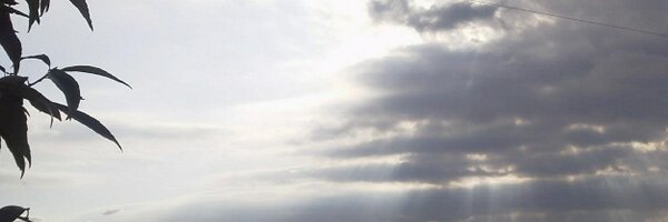 Resfil Profile Banner