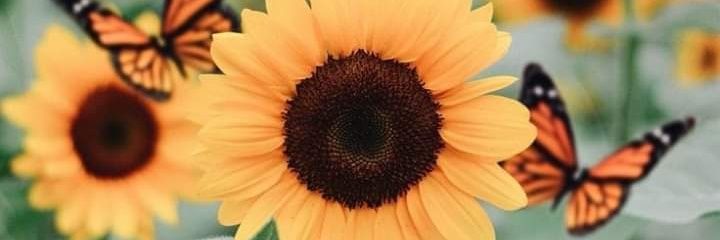 isaa_barbie's profile banner image