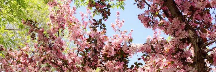 RayanneJarrviss's profile banner image