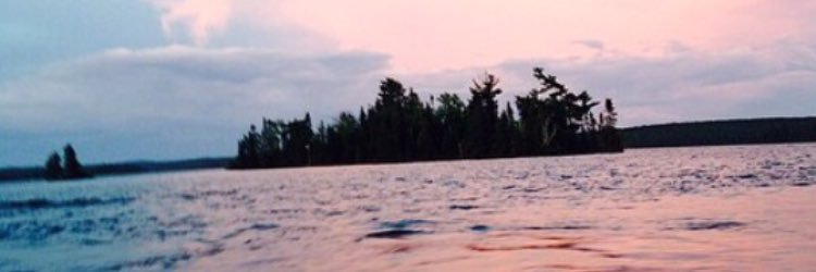 collin226's profile banner image