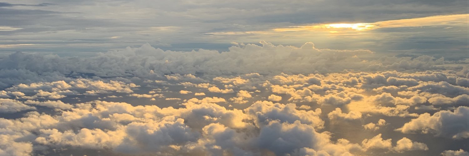 MuriloCaldas's profile banner image