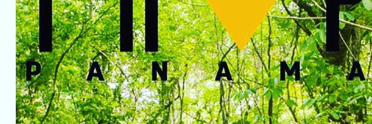 elisserrano06's profile banner image