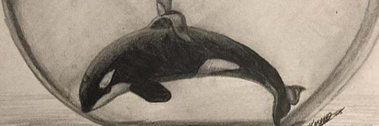 1charlottebreen's profile banner image