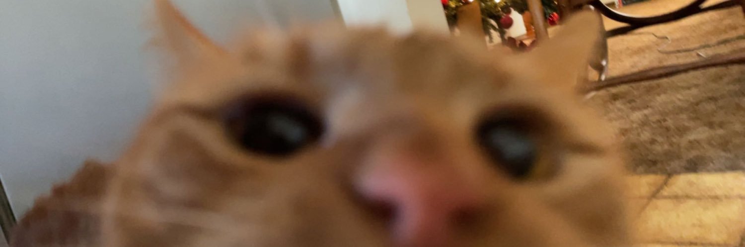vnksmith16's profile banner image