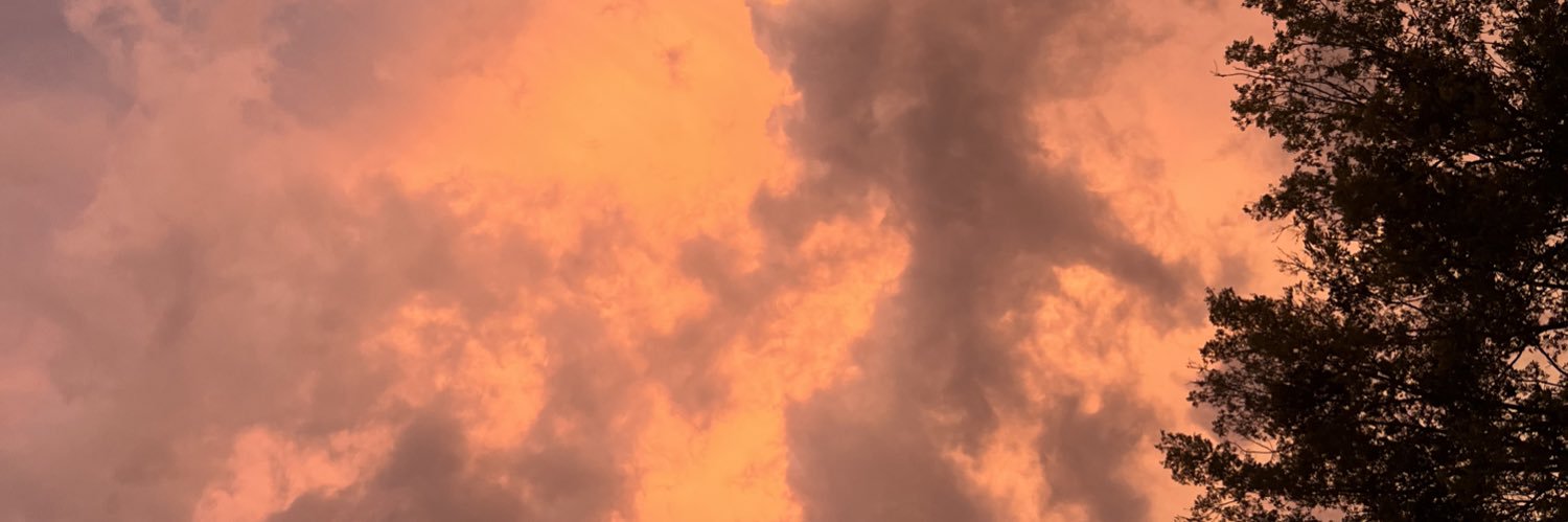 Tailormade_Sag's profile banner image