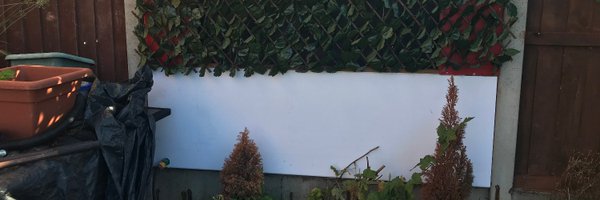 LynCorsham Profile Banner