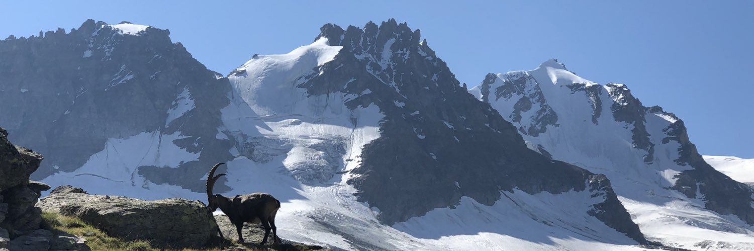 LoZioRicky's profile banner image