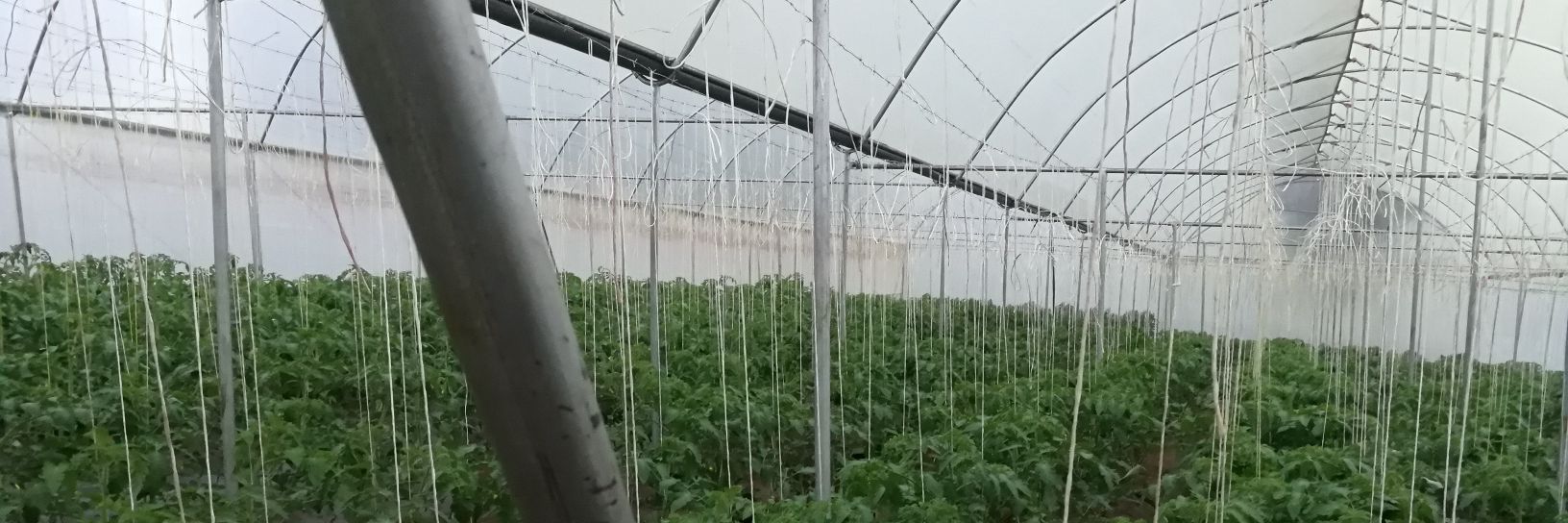 Charlie wa Mtaa banner