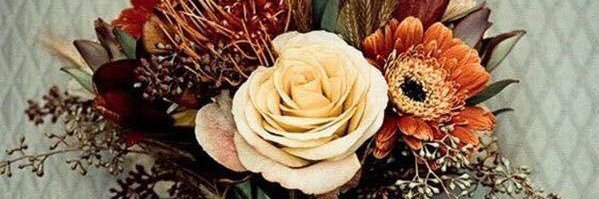 Danni_Kay1's profile banner image