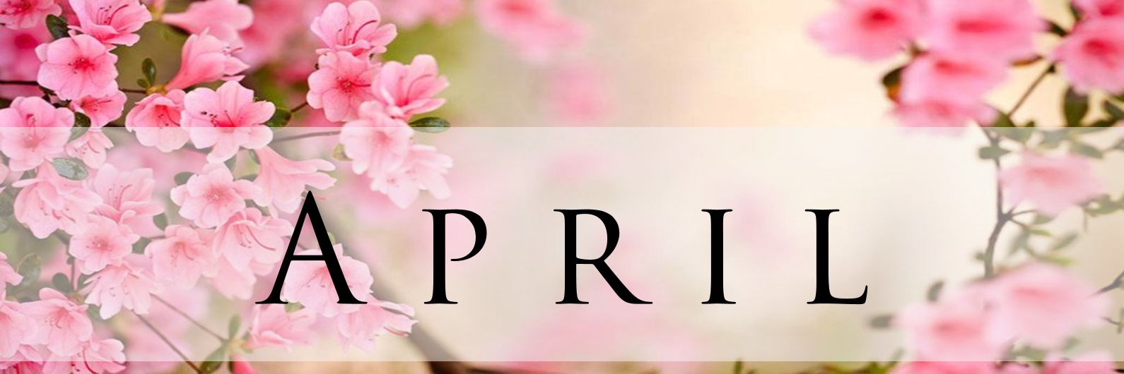 iamayce's profile banner image
