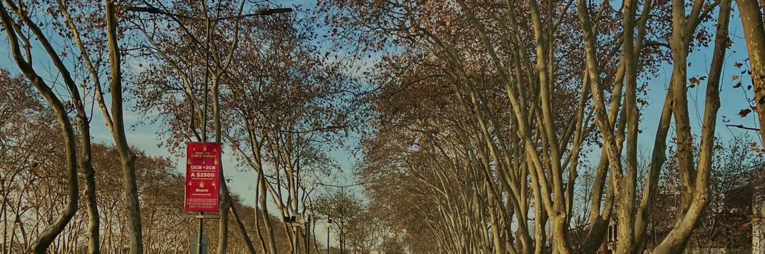ditomasiguido's profile banner image
