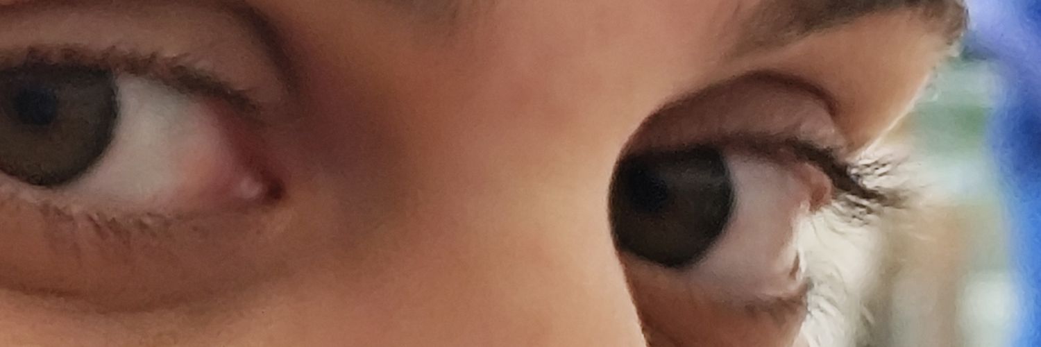 Pedrinho11k's profile banner image