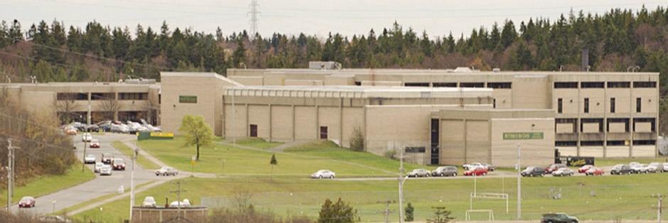 In The Beehive... banner