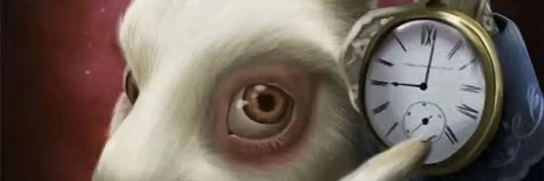 RubiconKing's profile banner image