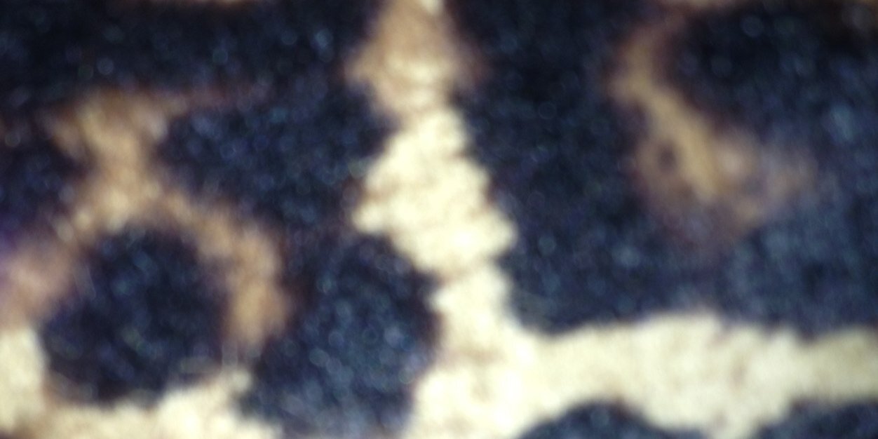 chelsapryl's profile banner image