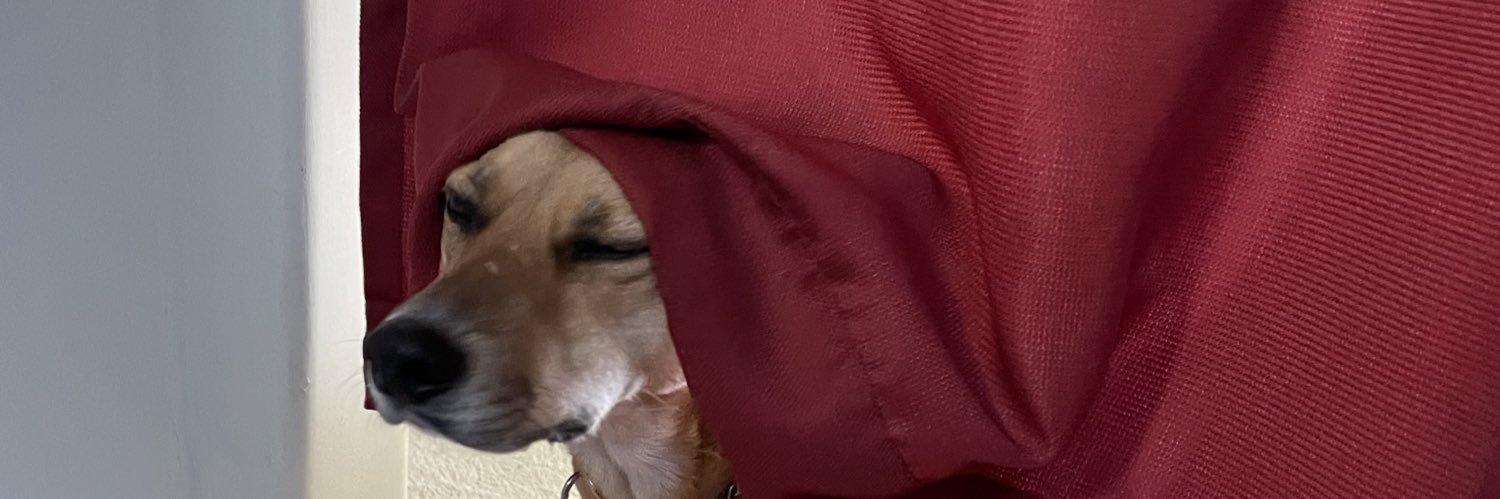 PDustmat's profile banner image