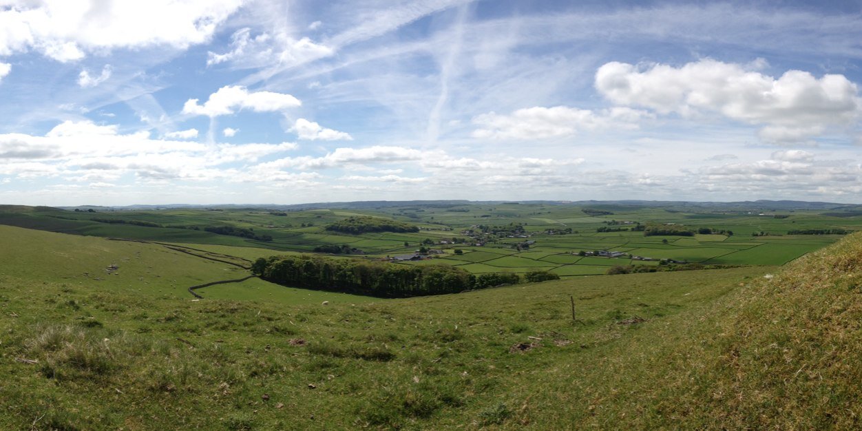 Mike Thompson banner