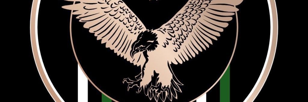 phollyaroh's profile banner image