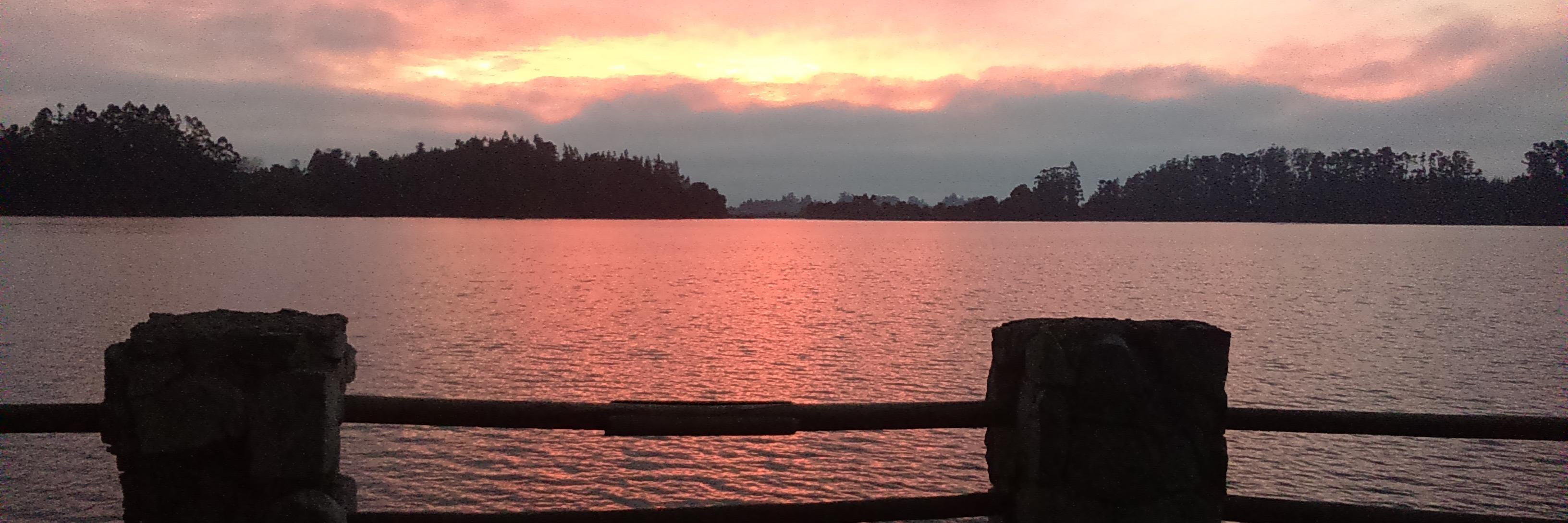 Chrisalejandraa's profile banner image
