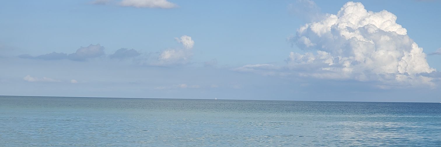 jwog88's profile banner image