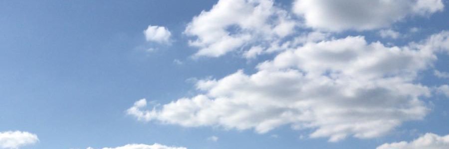 catandmarisa's profile banner image