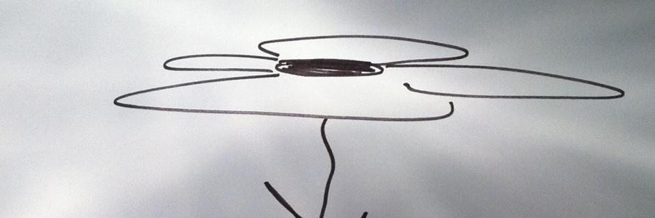 venturinha's profile banner image