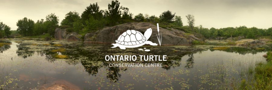 Ontario Turtle Conservation Centre banner
