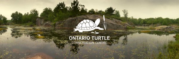 Ontario Turtle Conservation Centre Profile Banner