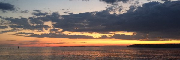 brittigann Profile Banner