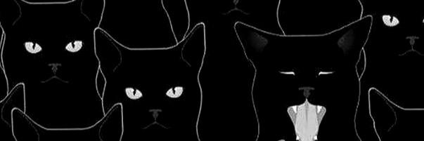 Errbz's profile banner image