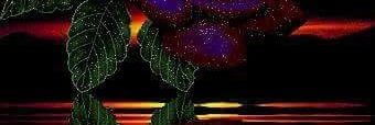 adel232491's profile banner image