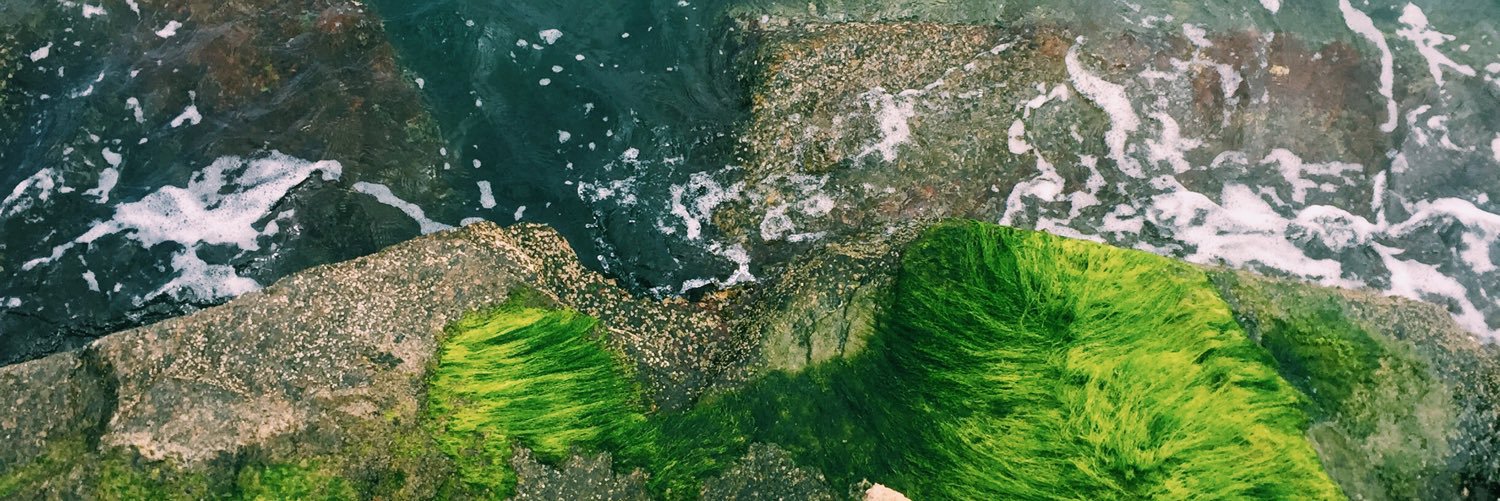 hannahslack_'s profile banner image